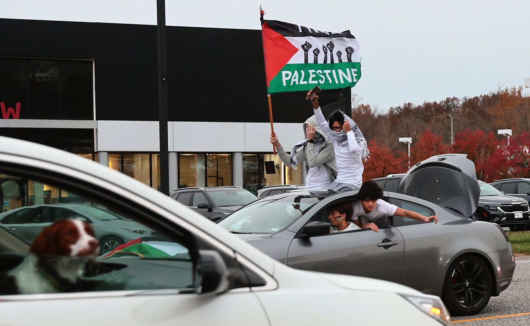 鈥楧ay of Action鈥 called to support Palestinians